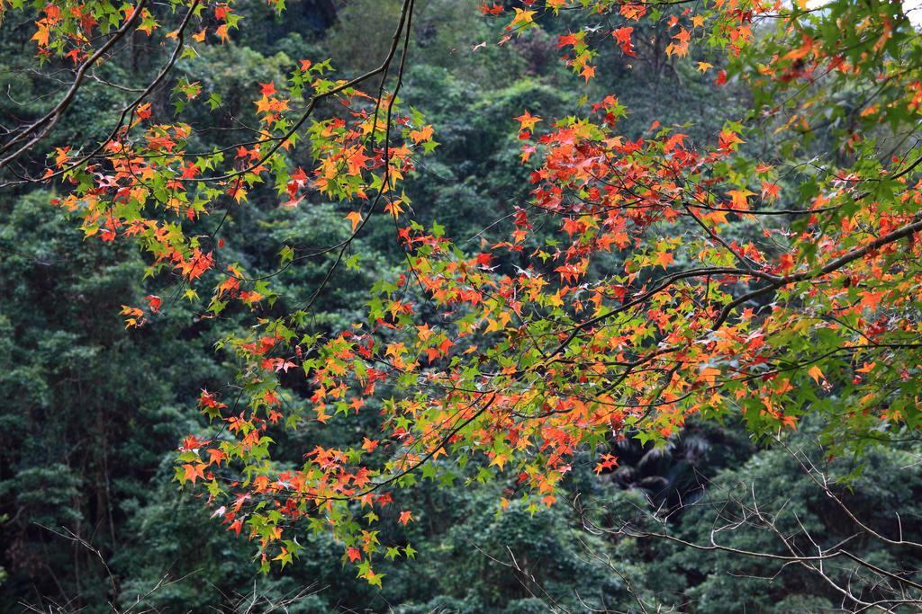 Spring Spa Hotel Wulai Extérieur photo
