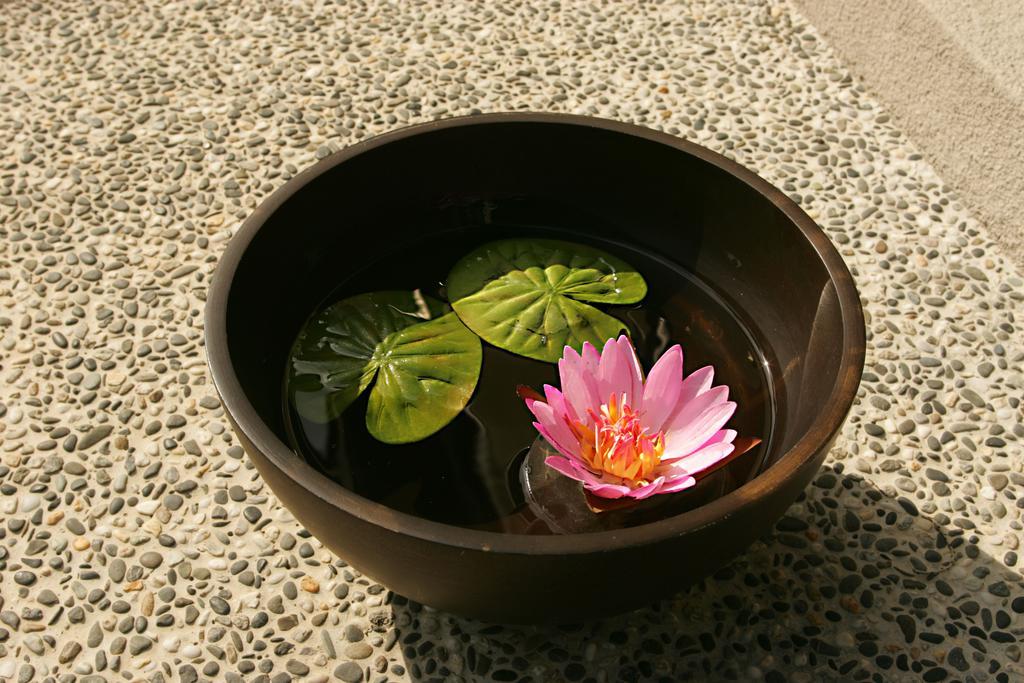 Spring Spa Hotel Wulai Extérieur photo